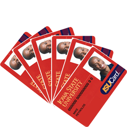 New Brochures